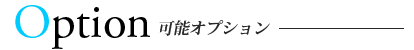 可能オプション